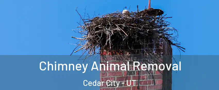 Chimney Animal Removal Cedar City - UT