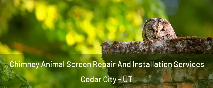  Chimney Animal Screen Repair And Installation Services Cedar City - UT