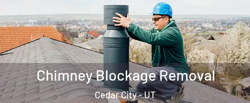  Chimney Blockage Removal Cedar City - UT
