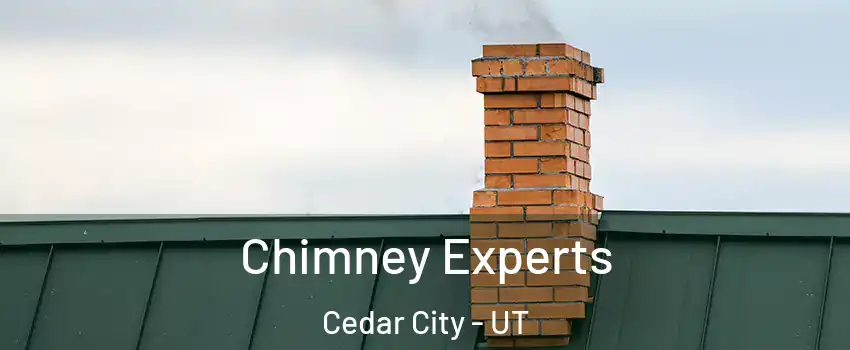 Chimney Experts Cedar City - UT