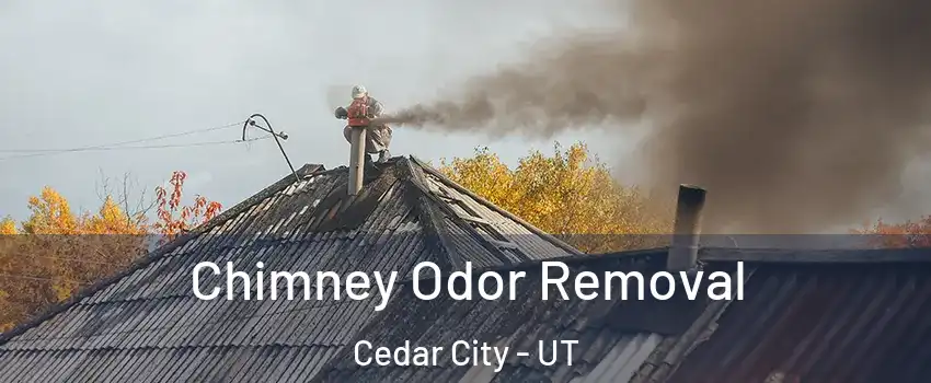  Chimney Odor Removal Cedar City - UT
