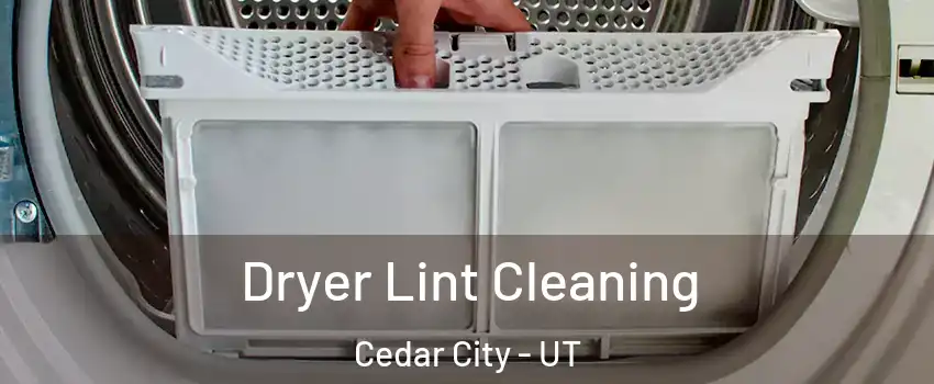  Dryer Lint Cleaning Cedar City - UT