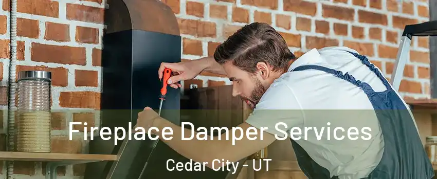  Fireplace Damper Services Cedar City - UT
