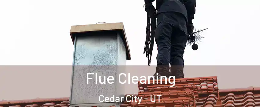  Flue Cleaning Cedar City - UT