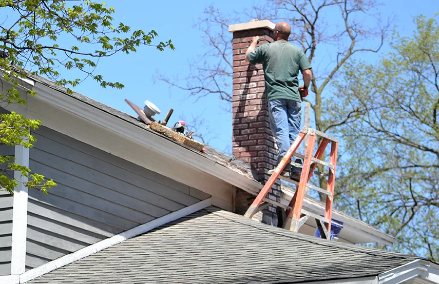 Chimney & Fireplace Inspections Services in Cedar City, UT