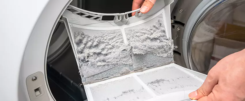 Best Dryer Lint Removal Company in Cedar City, Utah
