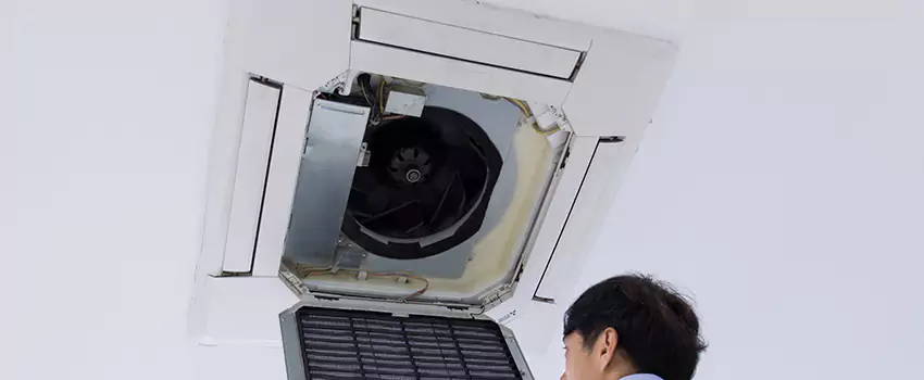 Benefits of Professional Air Duct Cleaning in Cedar City, Utah