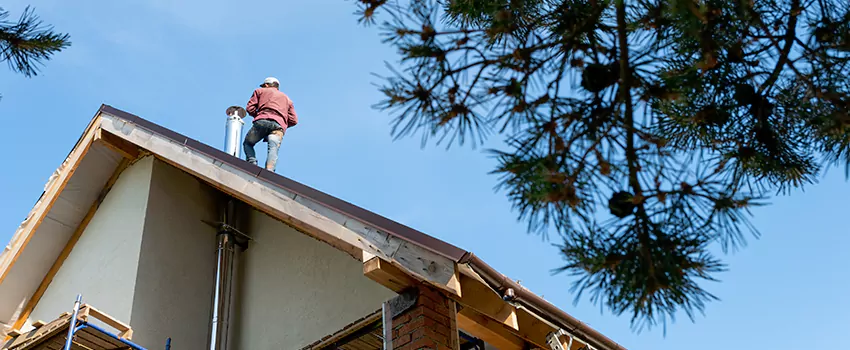 Birds Removal Contractors from Chimney in Cedar City, UT