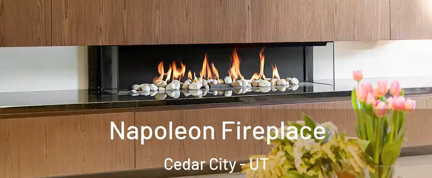  Napoleon Fireplace Cedar City - UT