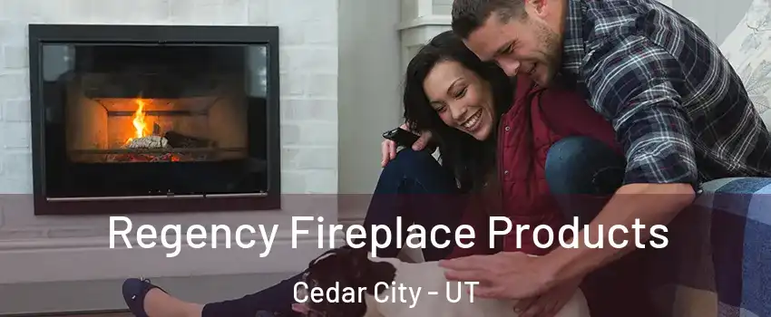  Regency Fireplace Products Cedar City - UT